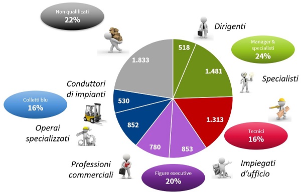 imm2 - categorie lodi